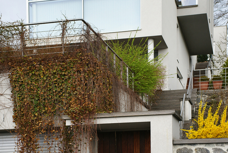 Architektúra / Vila BMS - foto