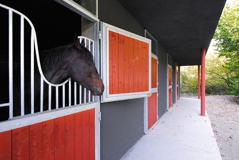 Architektúra / Stajňa pre kone - foto